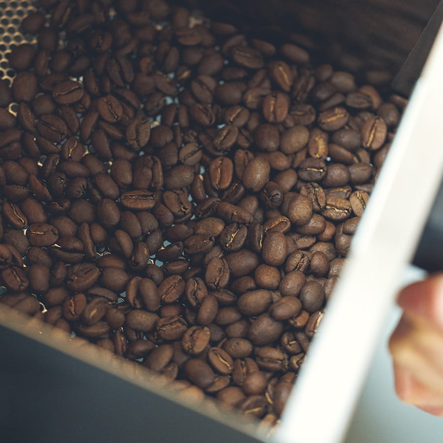 コーヒー豆のイメージ画像